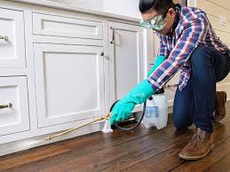 Best Pest Control for Multi-Family Homes  in East Canton, OH